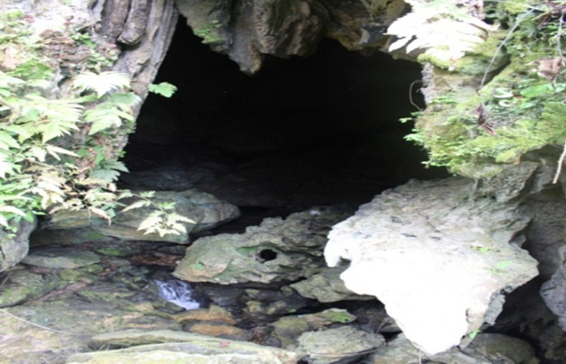 Goa Kembar Sungai Suko Dharmasraya